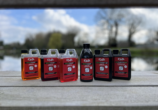 Love your bike, Love your suspension !